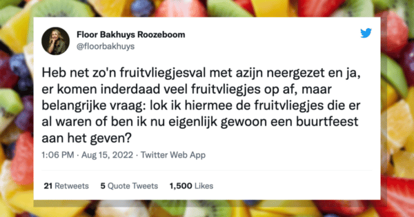 Fruitvliegjes