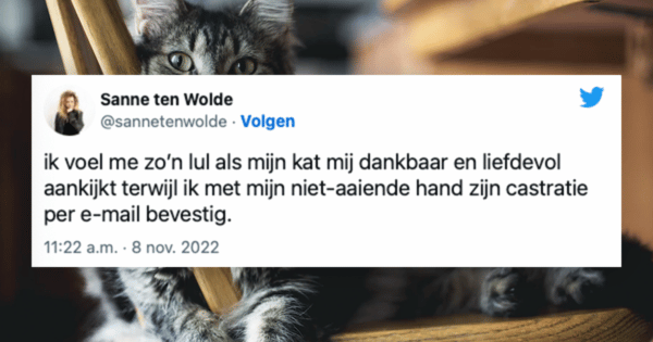 Katten