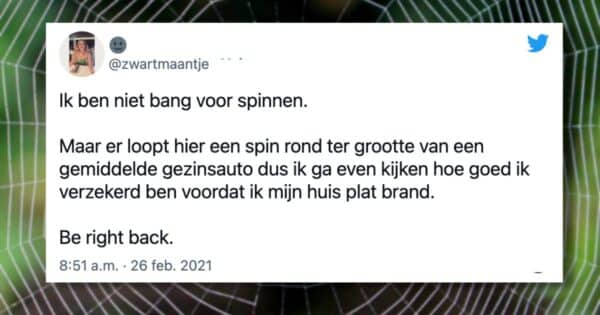 Spinnen