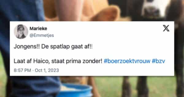 Boer zoekt vrouw