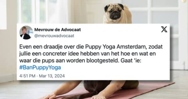 Puppy Yoga