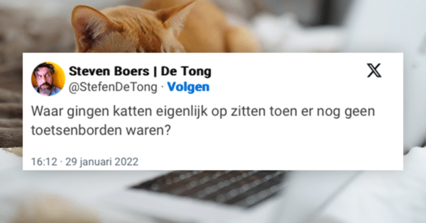 Katten Huisdieren