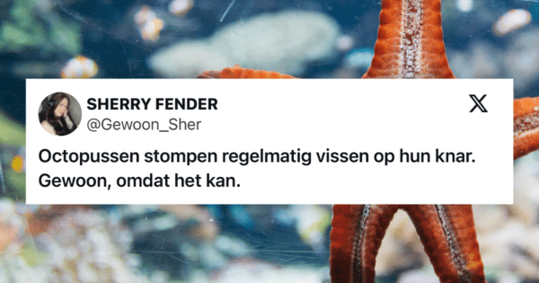 Gekke dieren