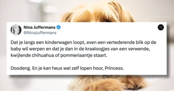 Honden