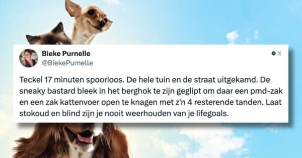 Brutale dieren