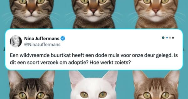 Katten
