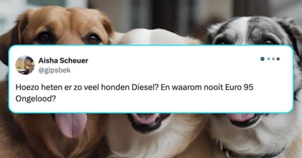 Honden