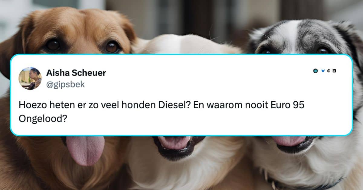 Honden