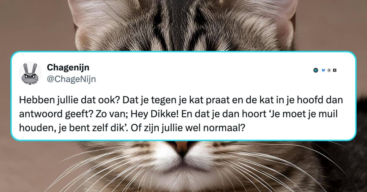 Katten