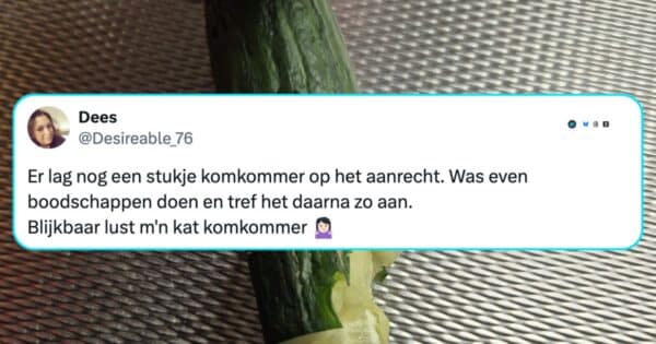 Katten