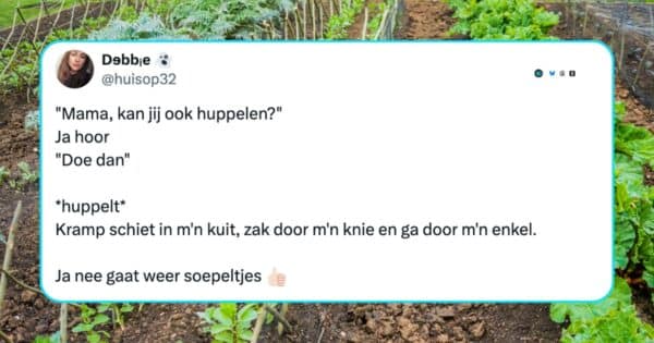 Het volwassen leven