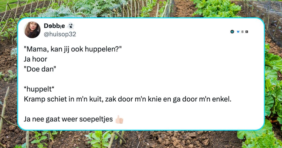 Het volwassen leven