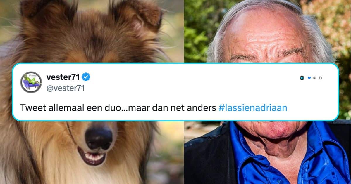 Woordgrappen