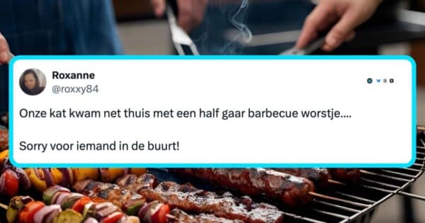 Barbecue bbq