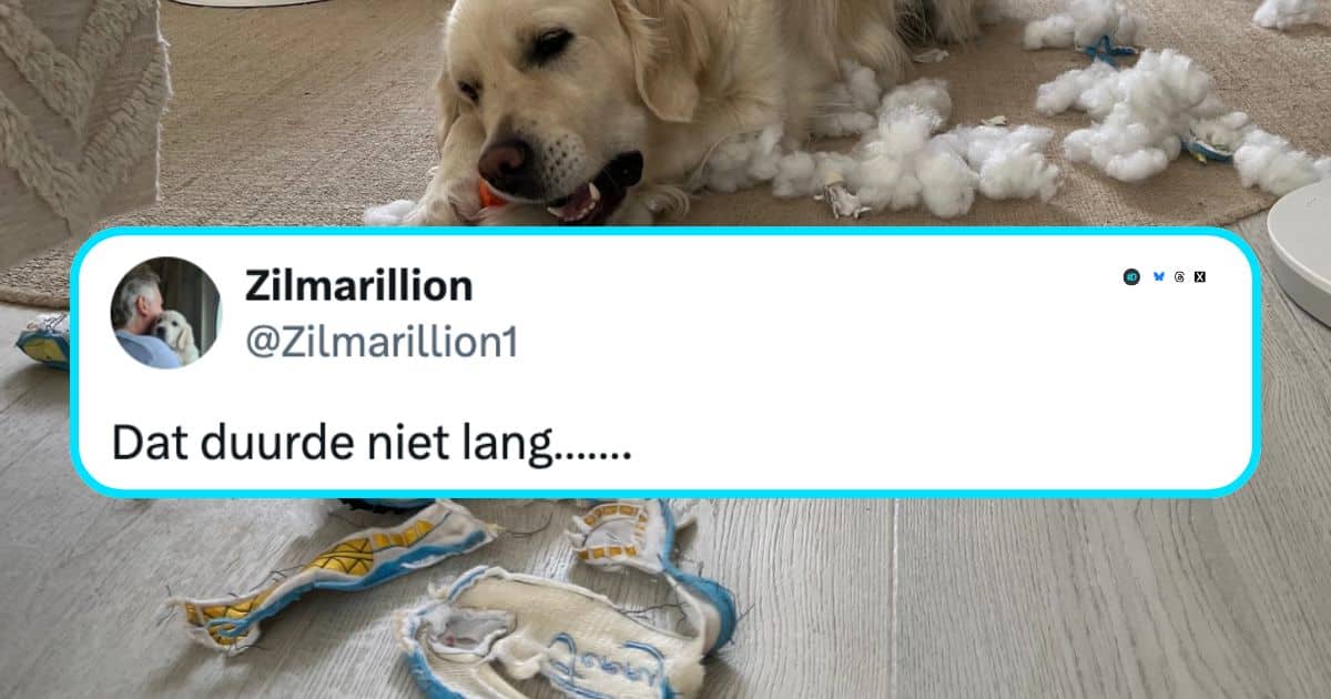 Honden