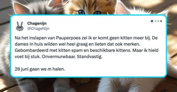 Katten