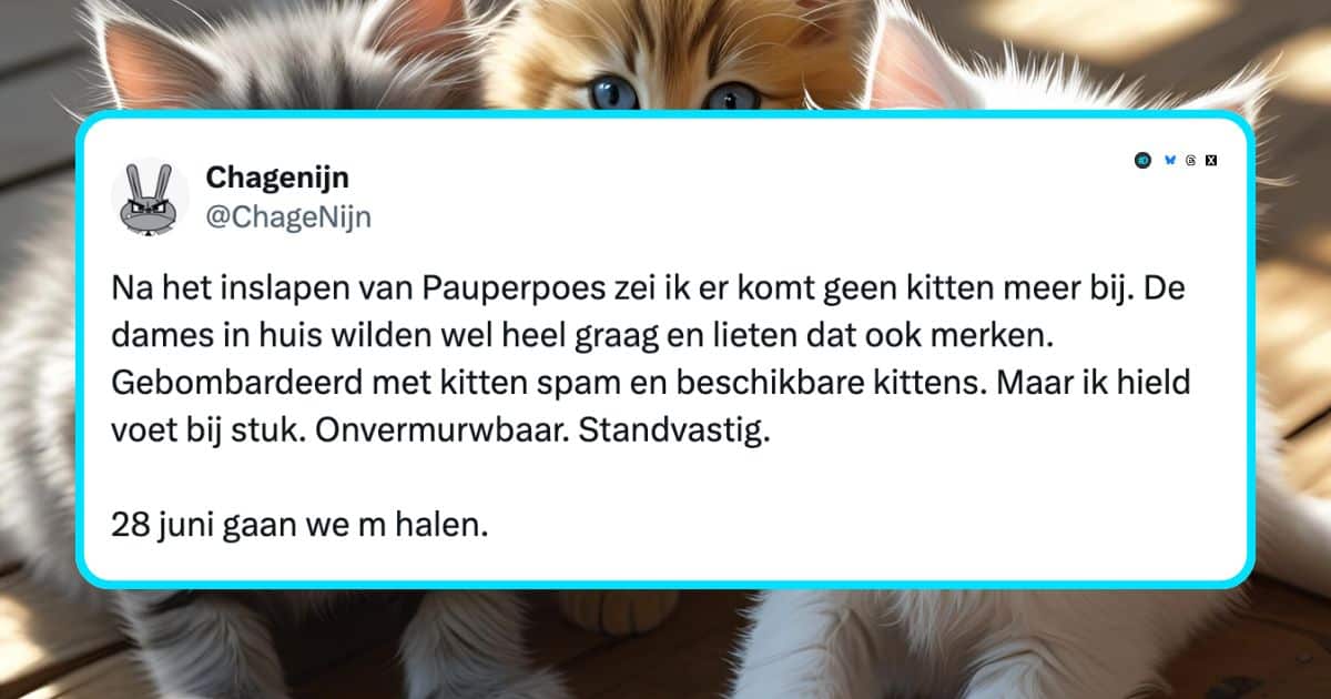 Katten