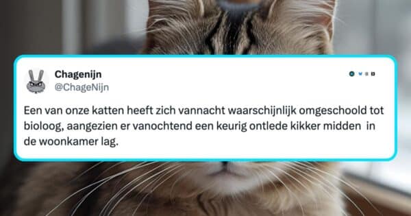 Katten