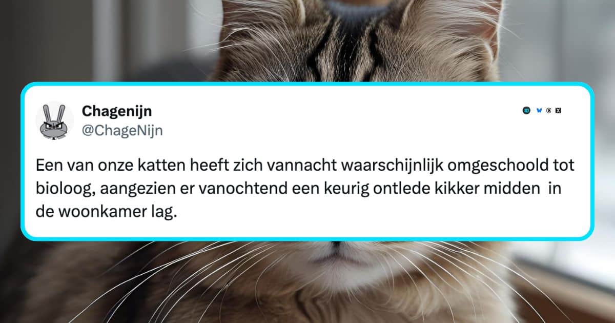 Katten