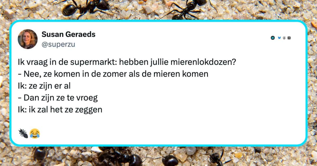 Mieren