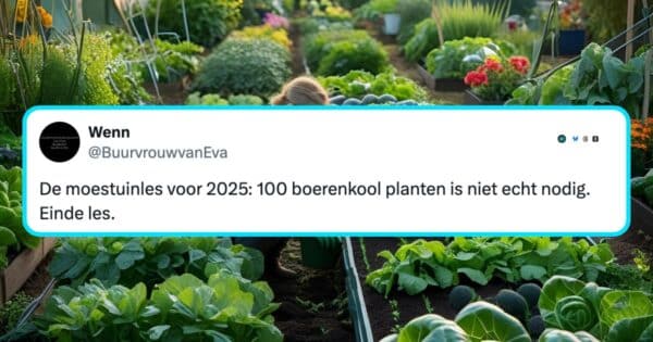 Moestuin