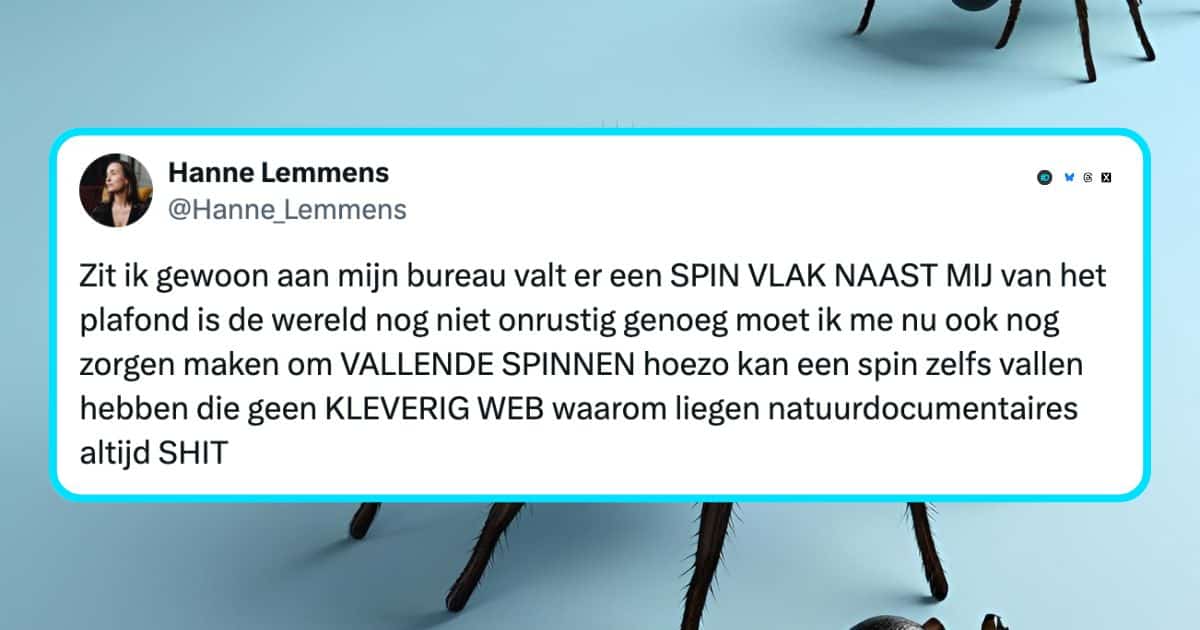 Spinnen
