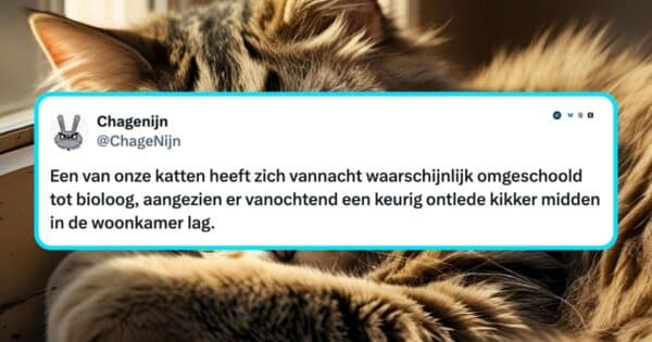 Katten