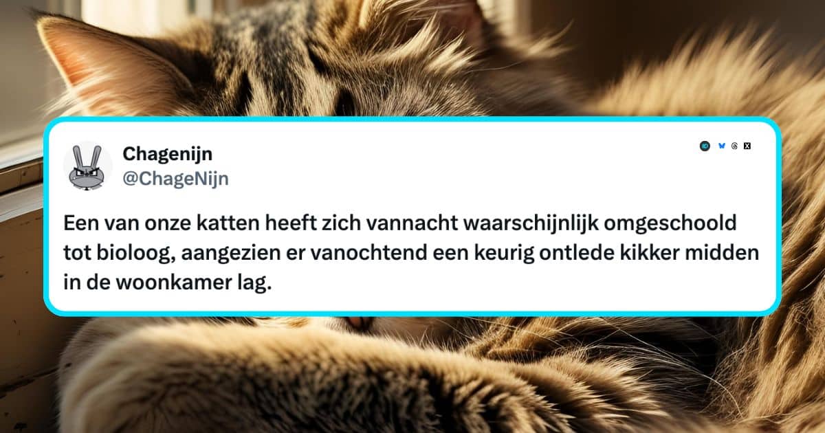 Katten