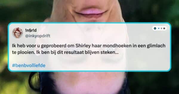 B&B Vol Liefde aflevering negentien