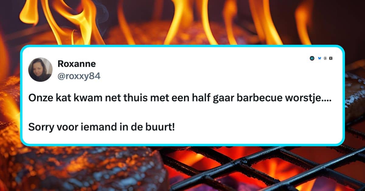 Barbecue BBQ