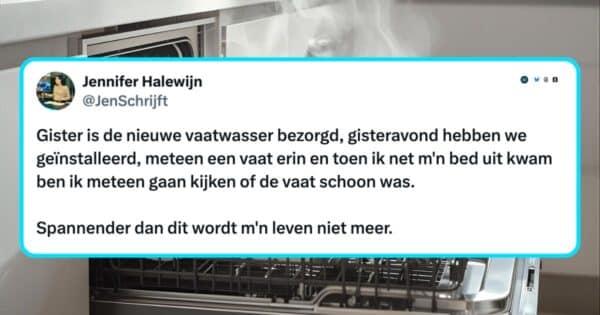 Het volwassen leven