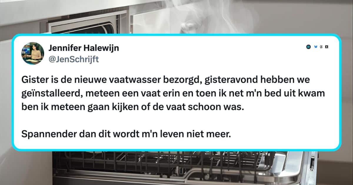Het volwassen leven