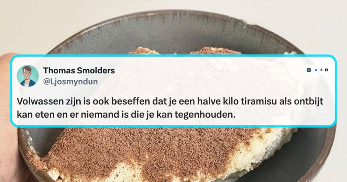 Het volwassen leven