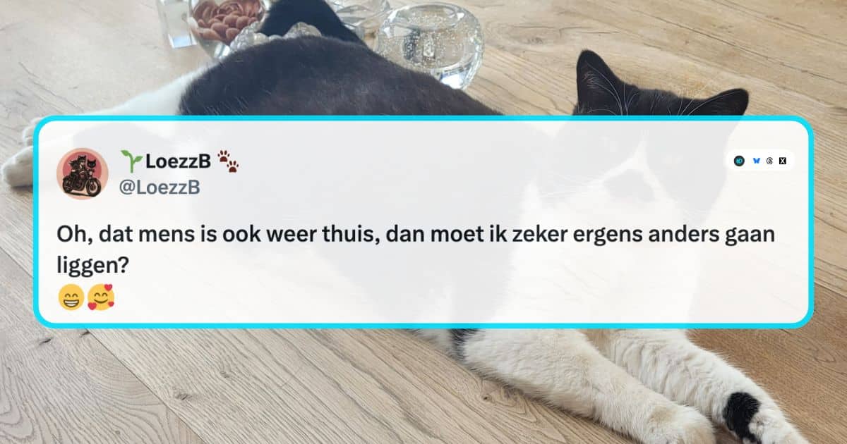 Katten