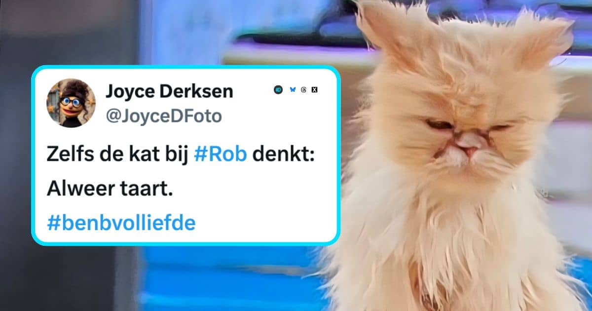 B&B Vol Liefde