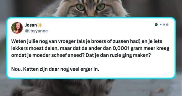 Katten