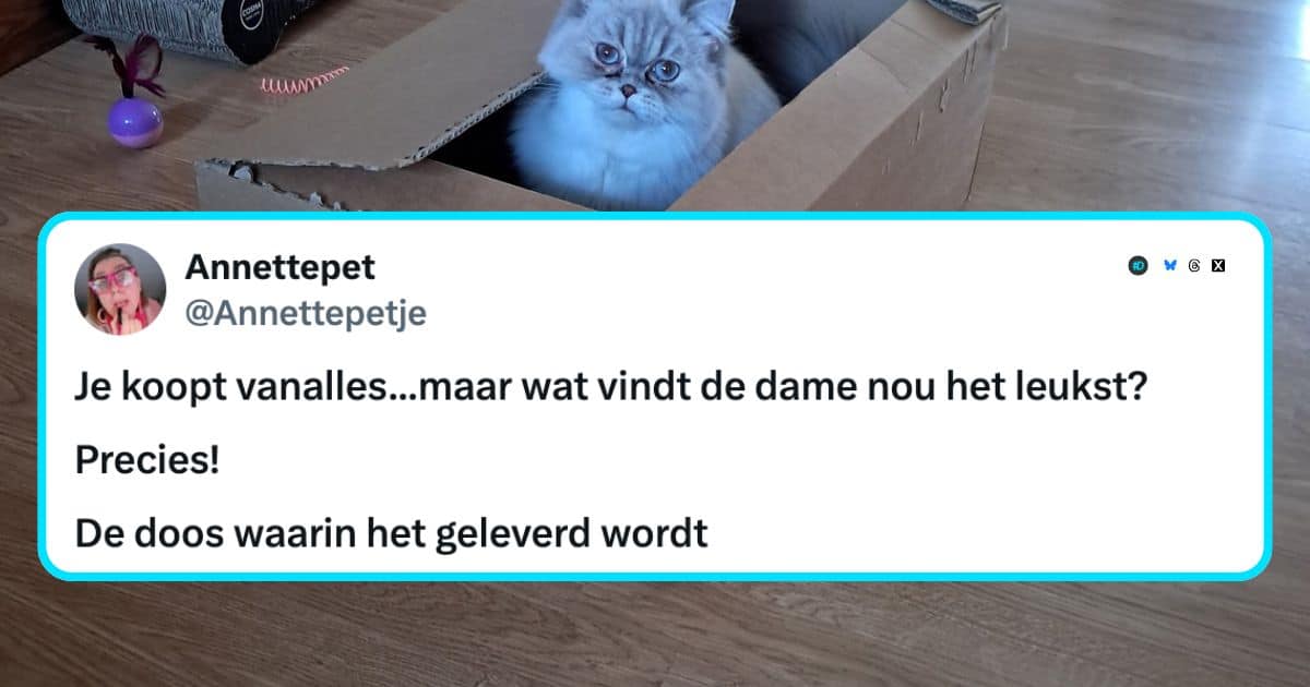Katten