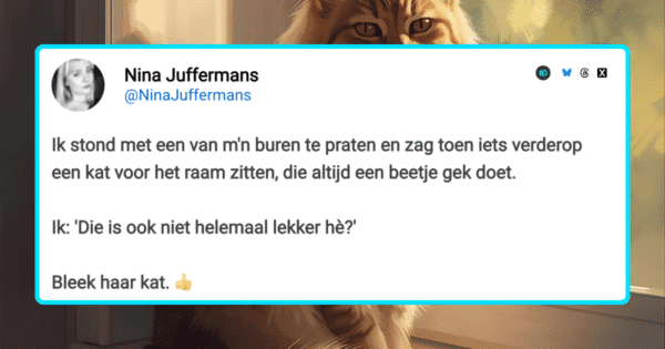 andermans katten