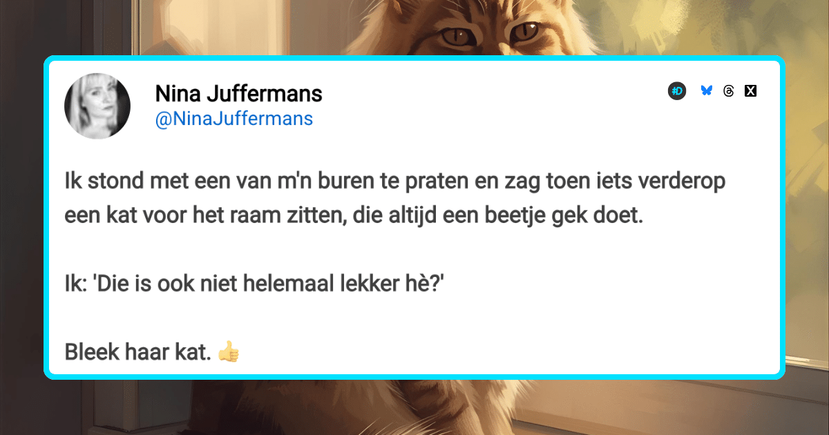 andermans katten