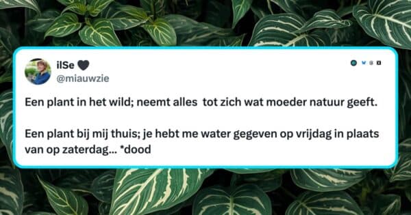Planten