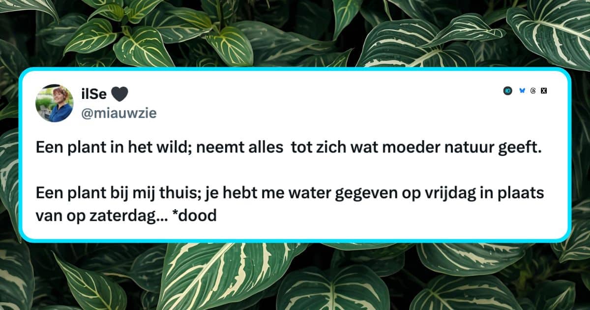 Planten