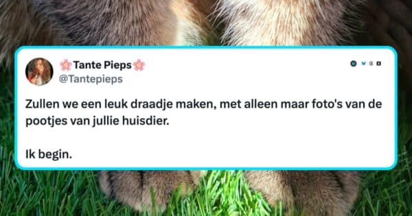 Pootjes huisdieren