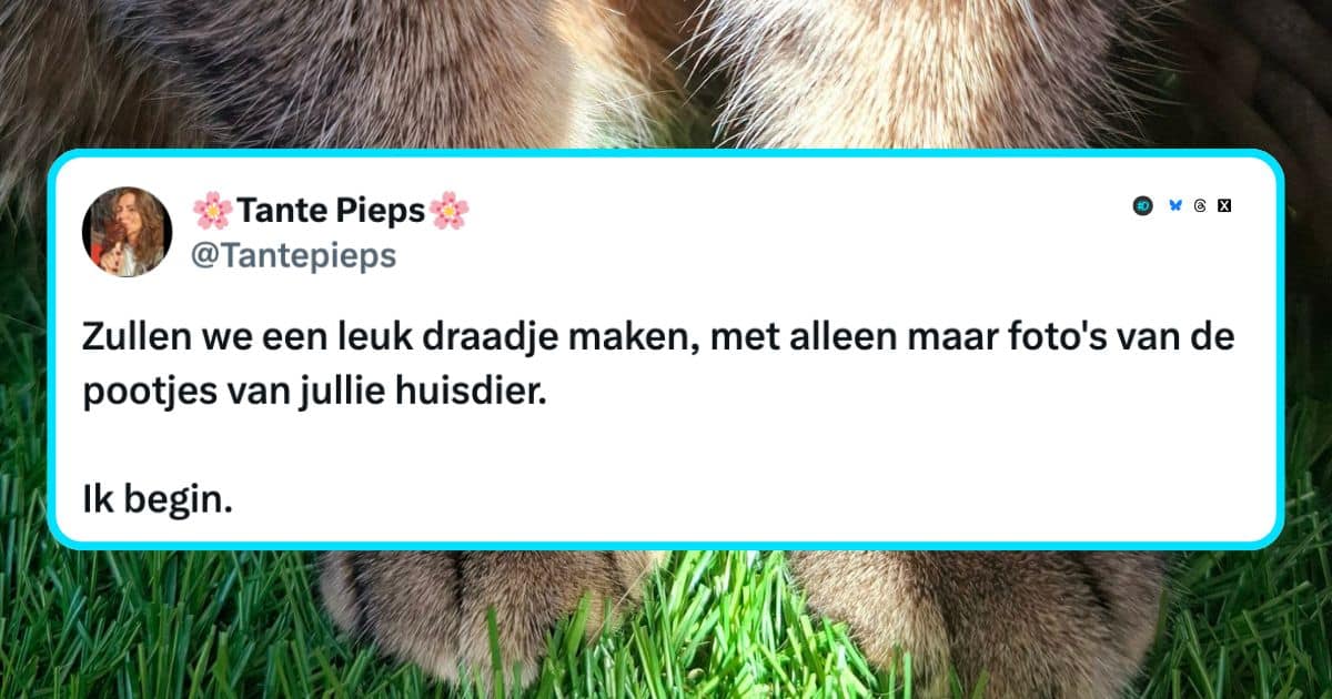 Pootjes huisdieren