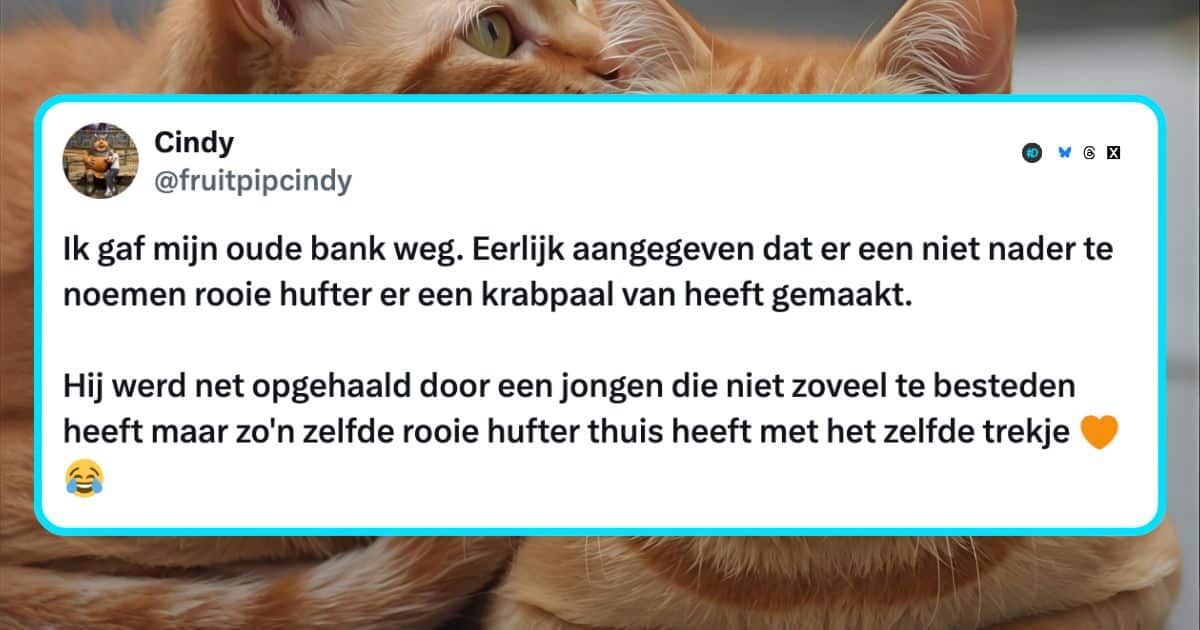 Katten
