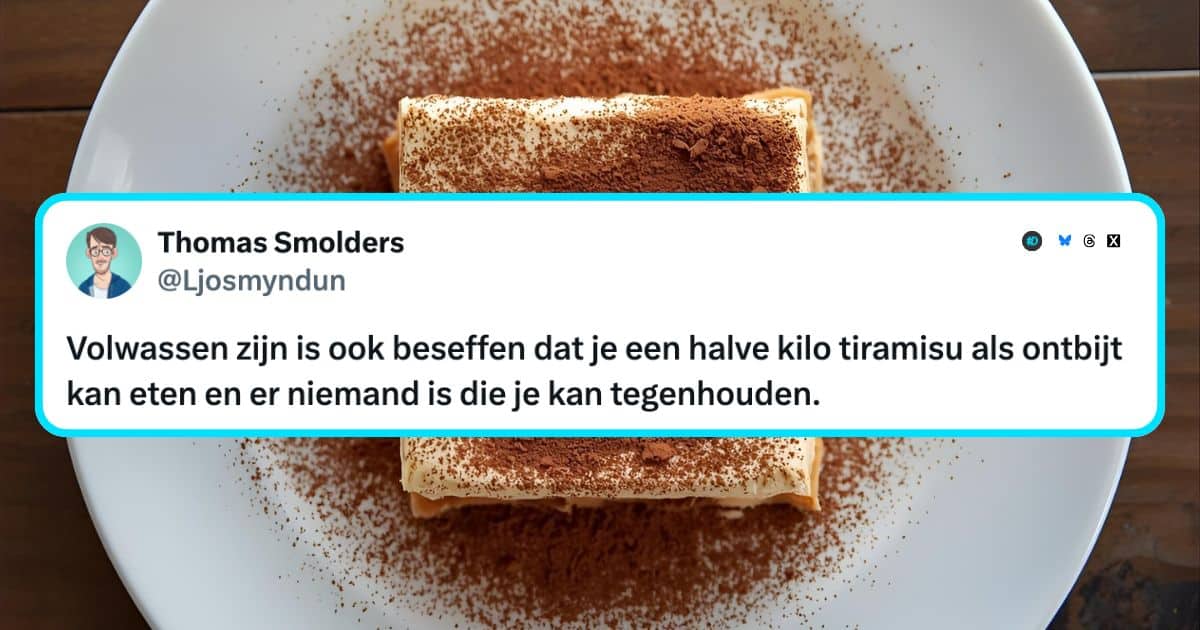 Volwassen leven