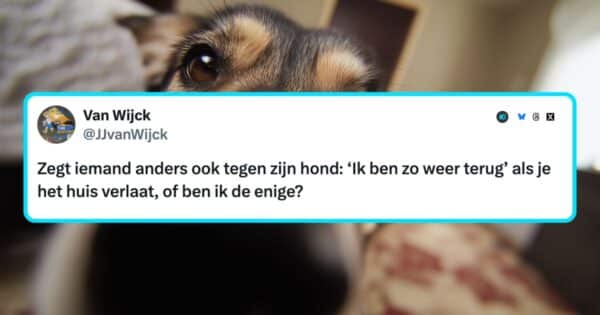 Honden