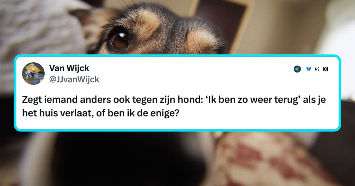 Honden