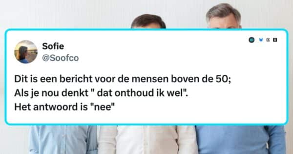 Het Volwassen leven
