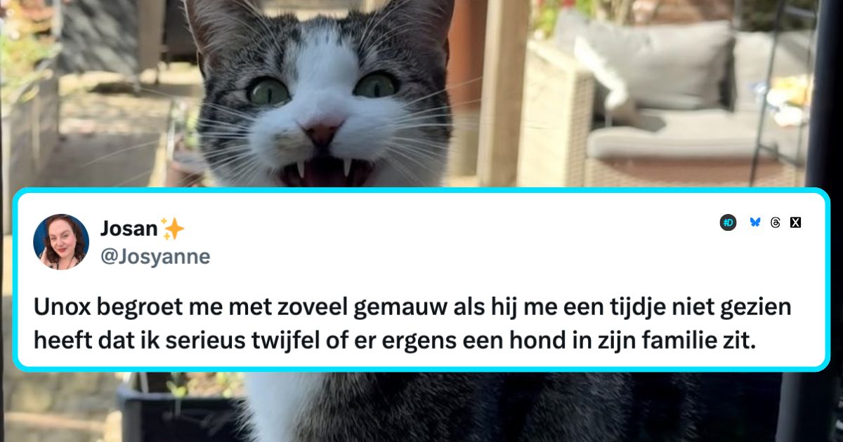 Katten
