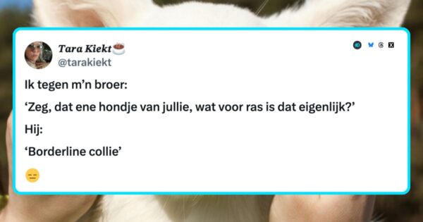 Honden